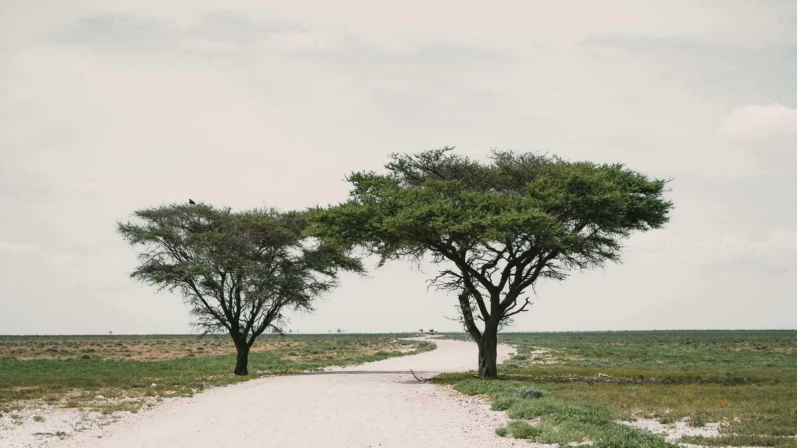 Open road through the Zimbabwean landscape